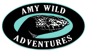 Amy Wild Adventures
